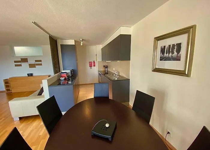 Spacious And Bright 2 Bedroom With Terrace Lausanne